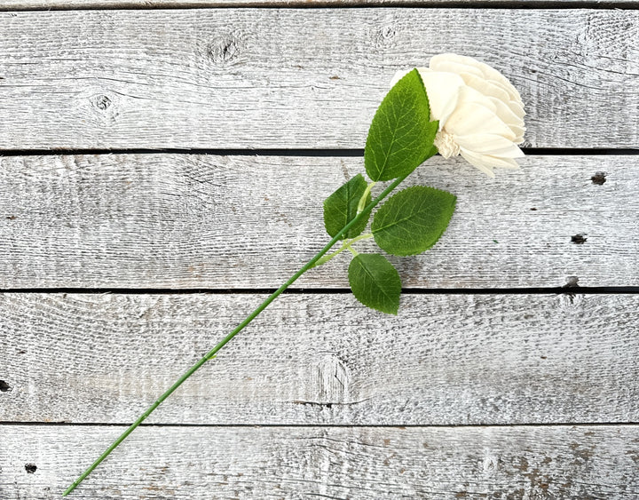 Sola Wood Flowers - Single Stem Rose Raw - Luv Sola Flowers