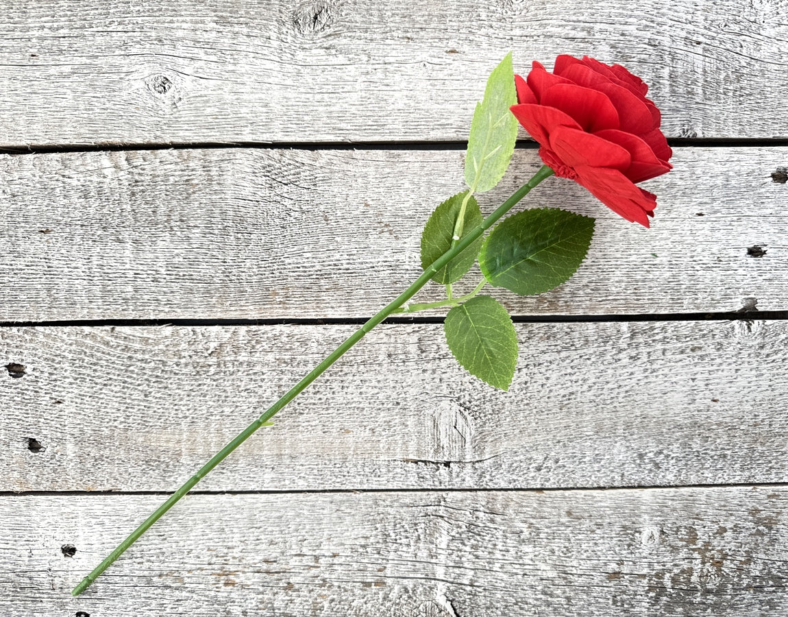 Sola Wood Flowers - Single Stem Rose Red - Luv Sola Flowers