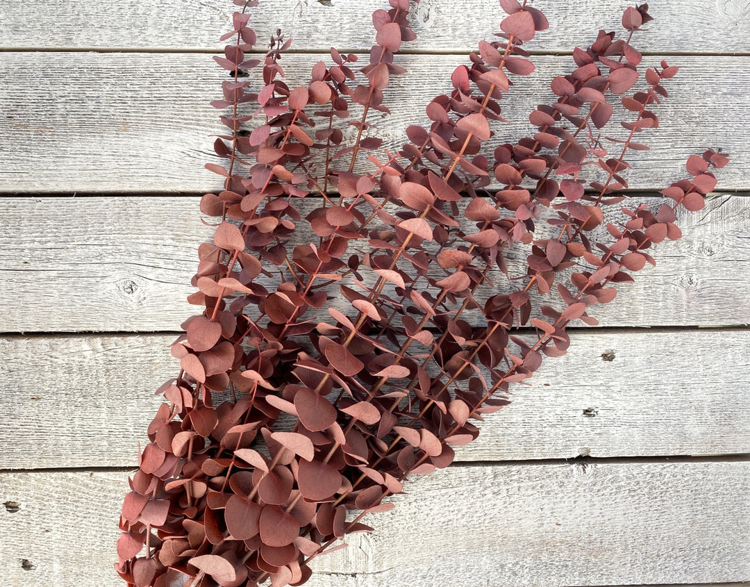 Spiral Eucalyptus - Luv Sola Flowers - Filler