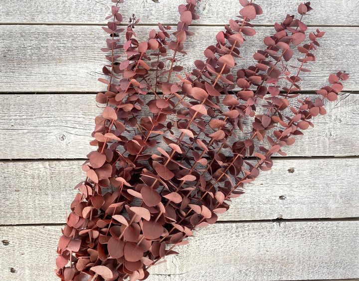 Spiral Eucalyptus - Luv Sola Flowers - Filler
