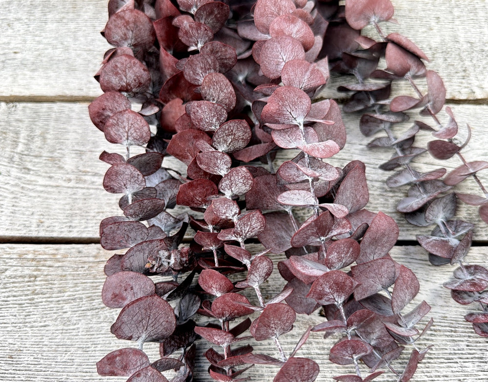 Frosted burgundy preserved spiral eucalyptus stems with small linear leaves