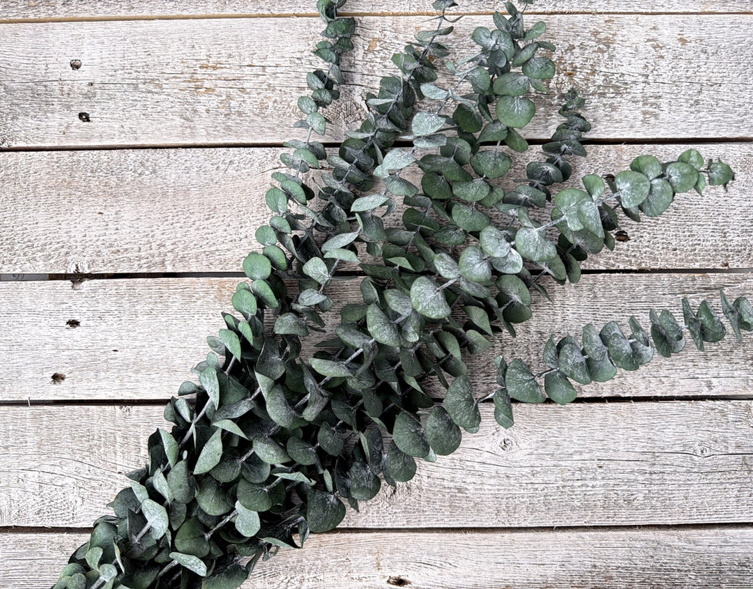 Frosted green preserved spiral eucalyptus stems with small delicate leaves