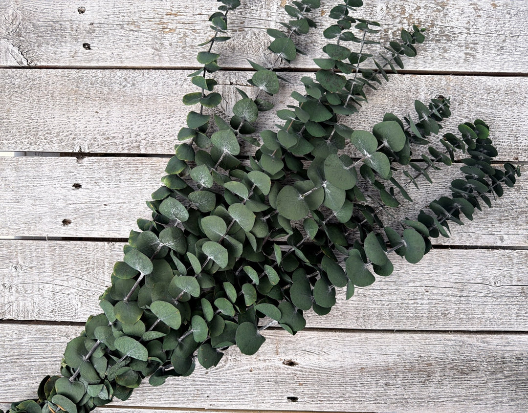Natural green preserved spiral eucalyptus stems with small linear leaves and natural fragrance