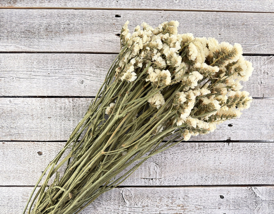 Bleached dried statice with papery small flower clusters on slender sturdy stems