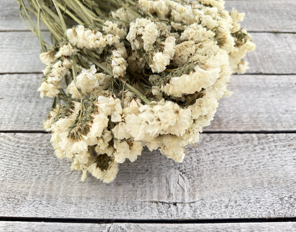 Bleached dried statice with papery small flower clusters on slender sturdy stems