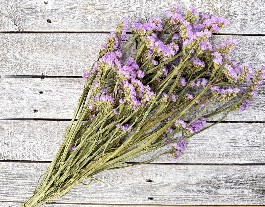 Lavender dried statice with soft papery small flower clusters on slender stems