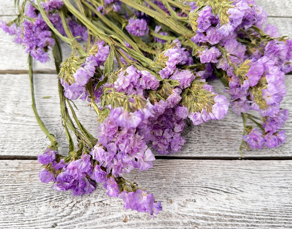 Lavender dried statice with soft papery small flower clusters on slender stems