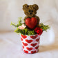 Sola Wood Flowers - Valentine's Day Bear Brown - Luv Sola Flowers
