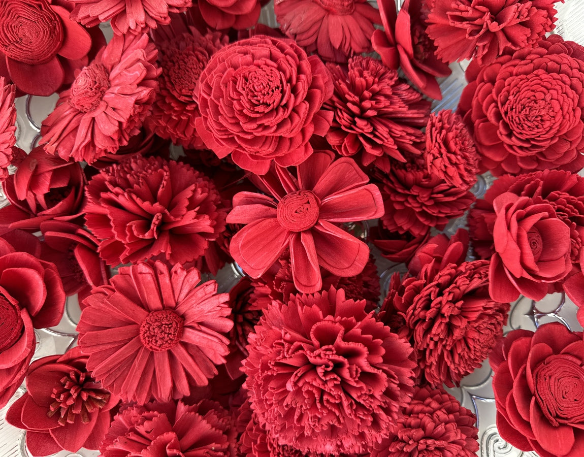 Candy Red Stemmed Sola Wood Carnation Flowers, Gift for Her, Sola Flow –  SolaFlowerStore