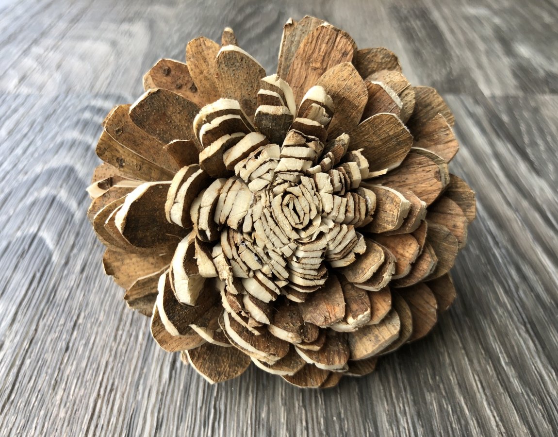 Sola Wood Flowers - Skin Beli