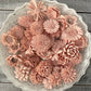 Sola Wood Flowers - Blush Dyed Flowers - Luv Sola Flowers