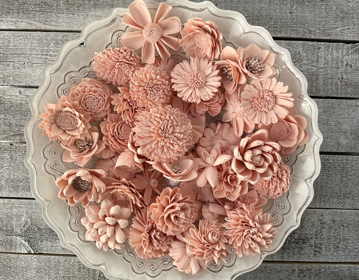 Sola Wood Flowers - Blush Dyed Flowers - Luv Sola Flowers