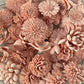Sola Wood Flowers - Blush Dyed Flowers - Luv Sola Flowers