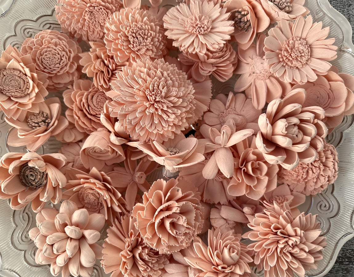 Sola Wood Flowers - Blush Dyed Flowers - Luv Sola Flowers