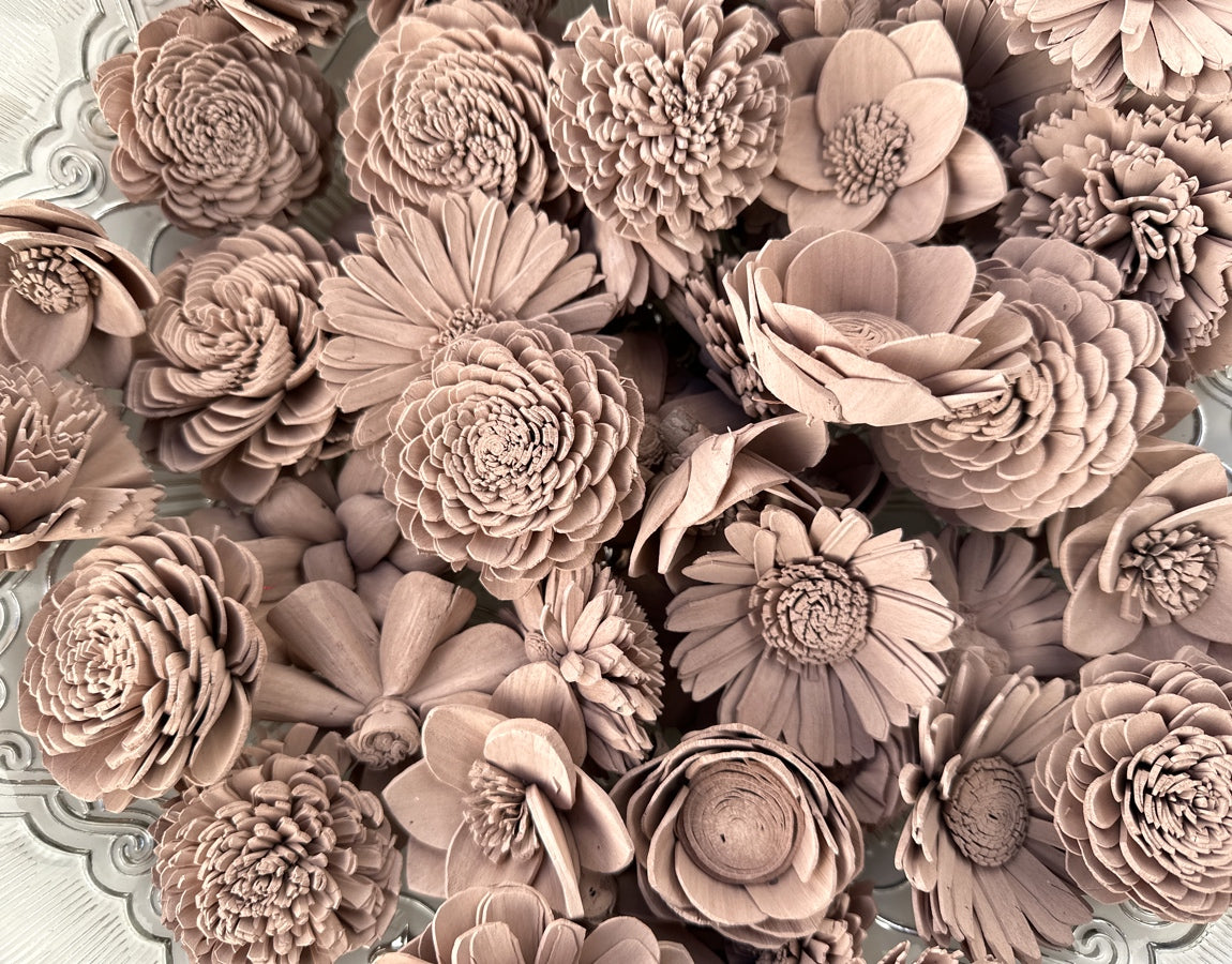 Sola Wood Flowers - Dusty Rose Dyed Flowers - Luv Sola Flowers
