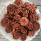 Sola Wood Flowers - Spice Dyed Flowers - Luv Sola Flowers