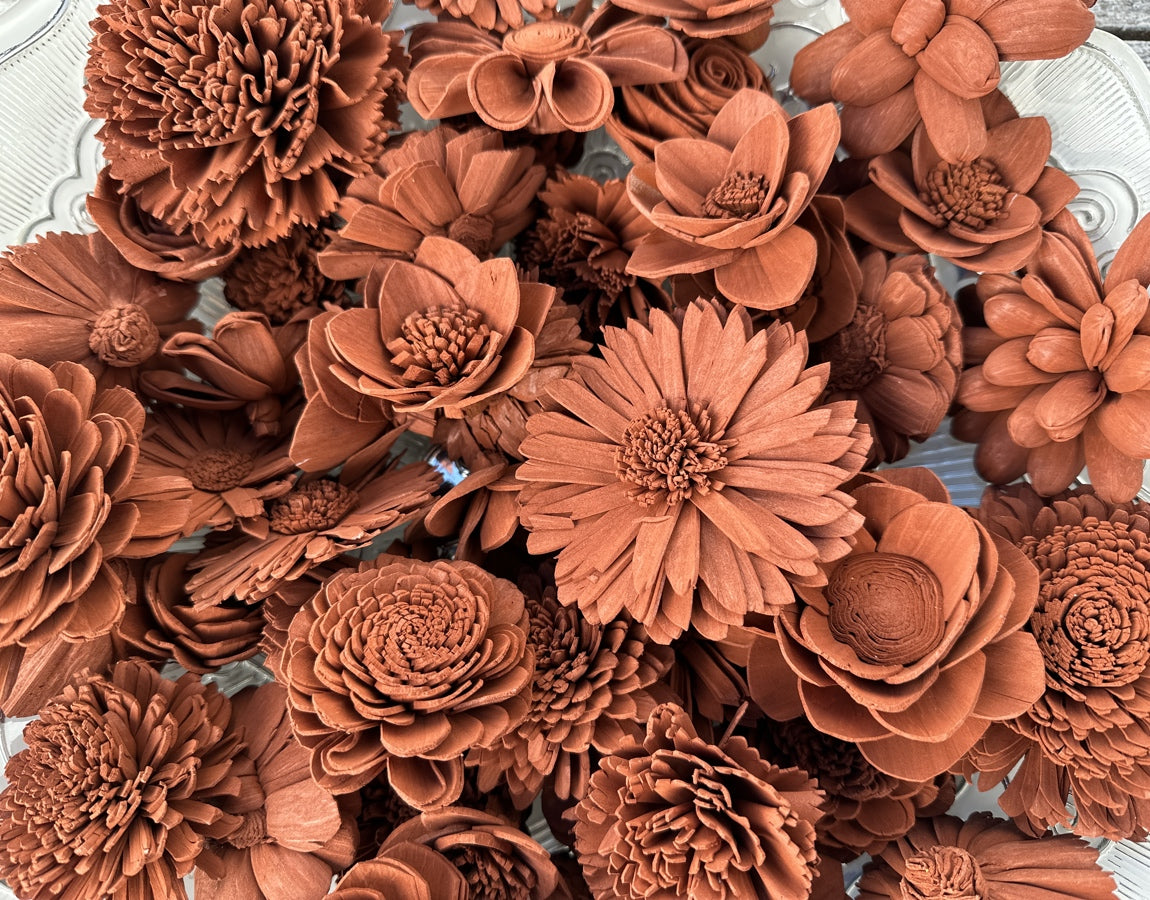 Sola Wood Flowers - Spice Dyed Flowers - Luv Sola Flowers