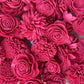 Sola Wood Flowers - Hot Pink Dyed Flowers - Luv Sola Flowers