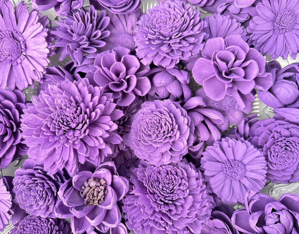 Sola Wood Flowers - Lavender Dyed Flowers - Luv Sola Flowers