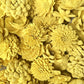 Sola Wood Flowers - Sunny Yellow Dyed Flowers - Luv Sola Flowers