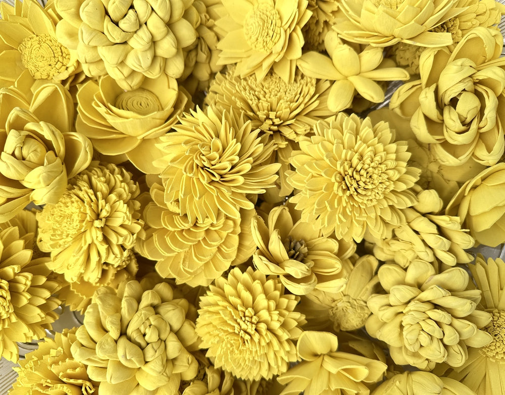 Sola Wood Flowers - Sunny Yellow Dyed Flowers - Luv Sola Flowers