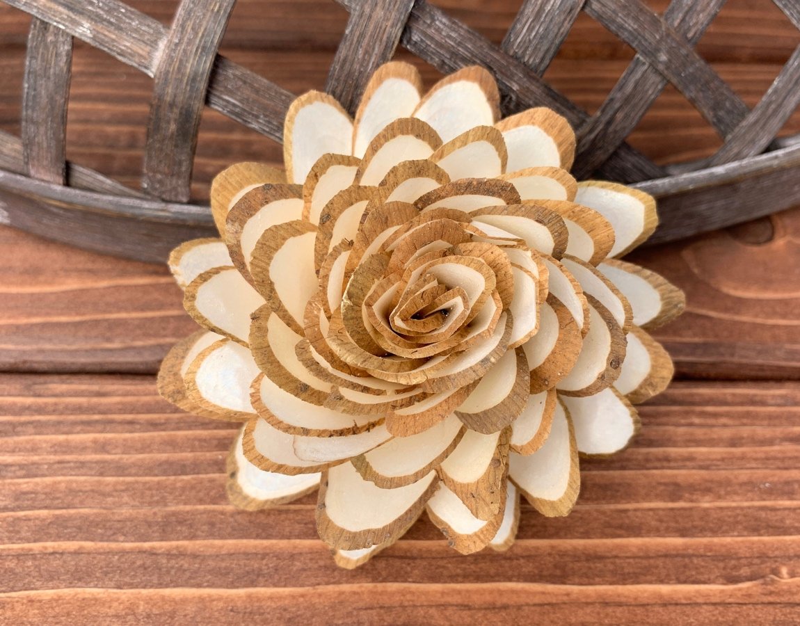 Sola Wood Flowers - Almond 3.0" Case