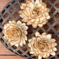 Sola Wood Flowers - Almond - Luv Sola Flowers