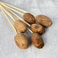 Amra Pods Natural - Luv Sola Flowers - Dried Botanicals