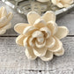 Sola Wood Flowers - Aspen