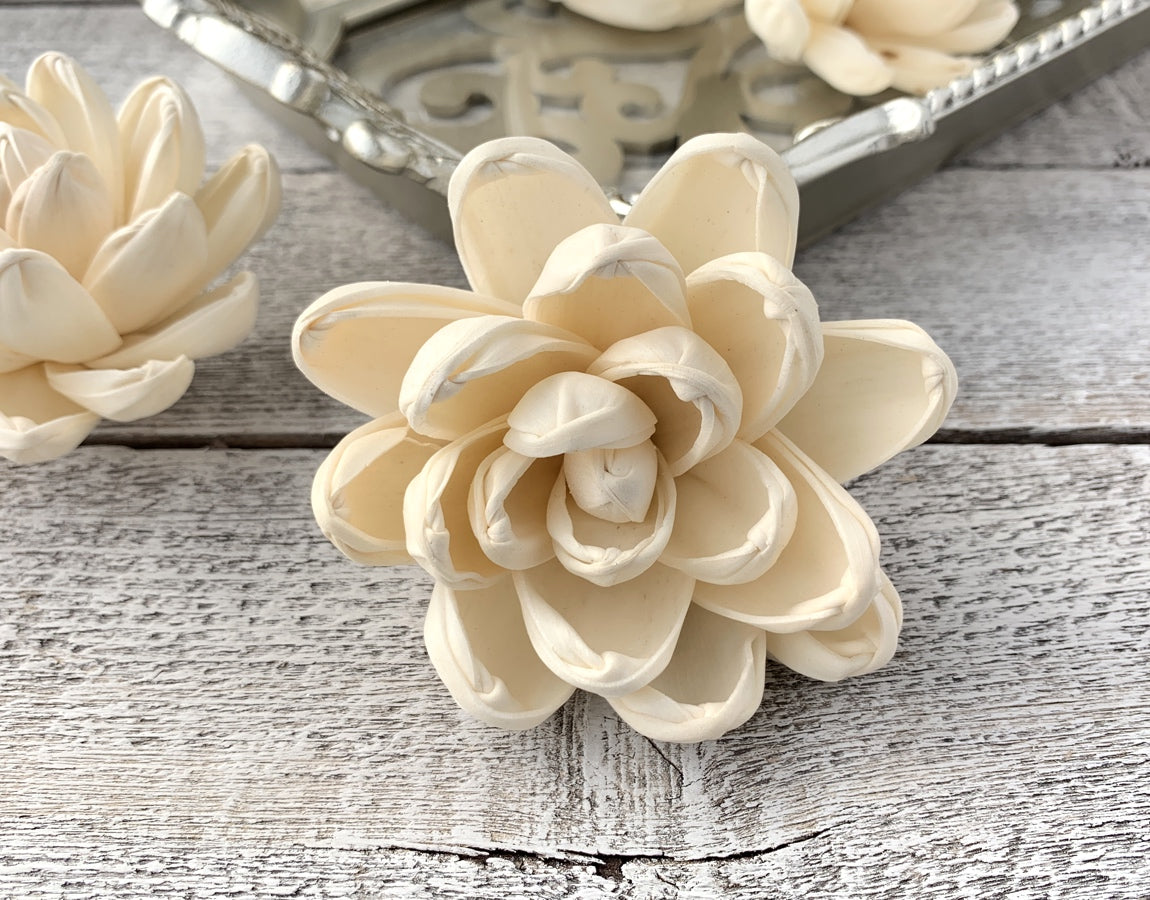Sola Wood Flowers - Aspen - Luv Sola Flowers