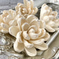 Sola Wood Flowers - Aspen - Luv Sola Flowers