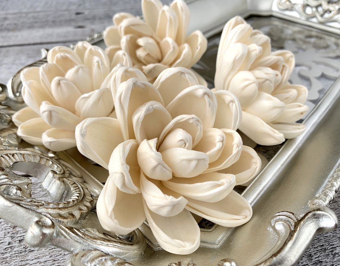 Sola Wood Flowers - Aspen - Luv Sola Flowers