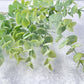 Baby Eucalyptus Bush Faux - Luv Sola Flowers - Faux Filler