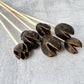 Bakuli Pod - Luv Sola Flowers - Dried Botanicals