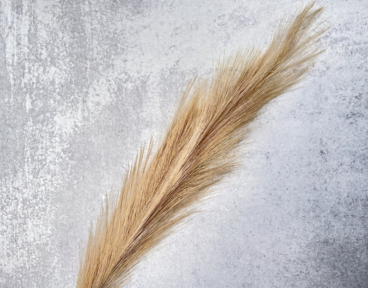 Beige Faux Pampas Grass - Luv Sola Flowers - Faux Filler