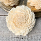 Sola Wood Flowers - Beli - Luv Sola Flowers