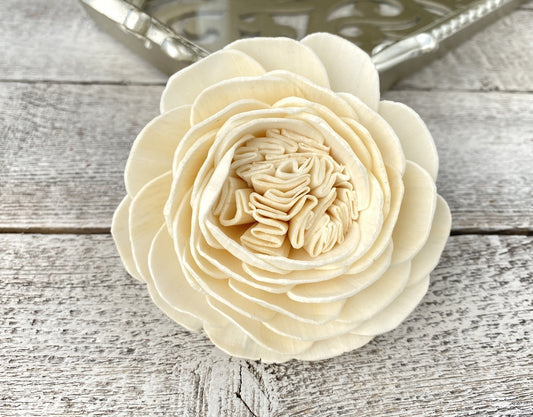 Sola Wood Flowers - Bella Rose - Luv Sola Flowers