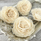 Sola Wood Flowers - Bella Rose - Luv Sola Flowers