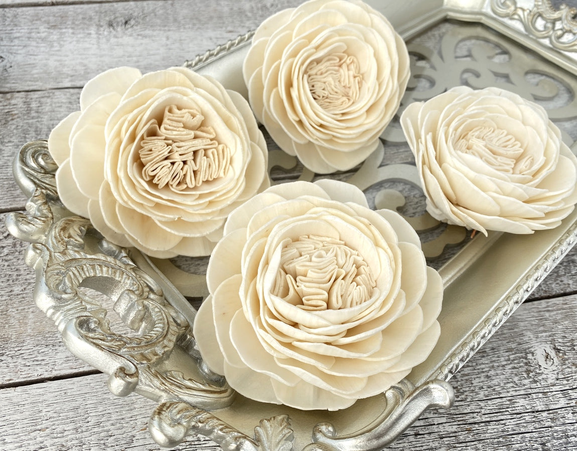 Sola Wood Flowers - Bella Rose - Luv Sola Flowers