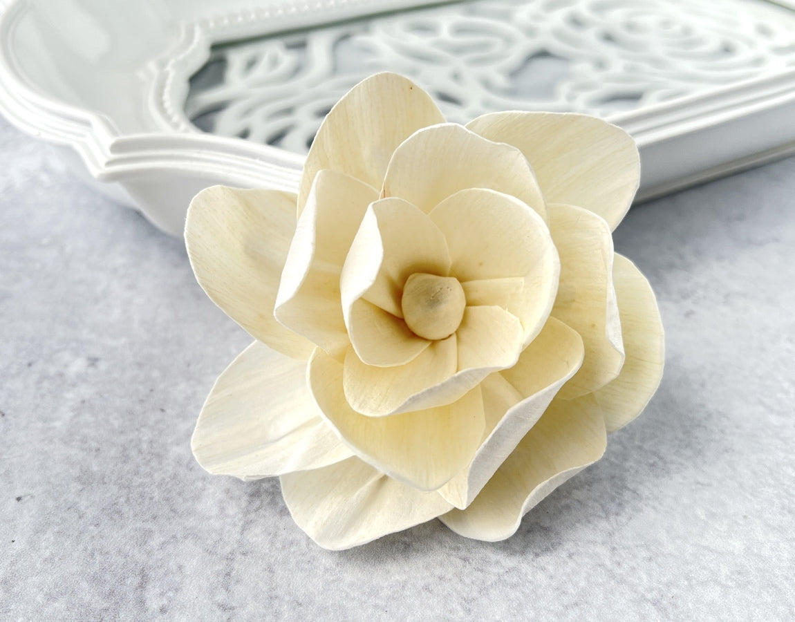 Sola Wood Flowers - Bellatrix - Luv Sola Flowers