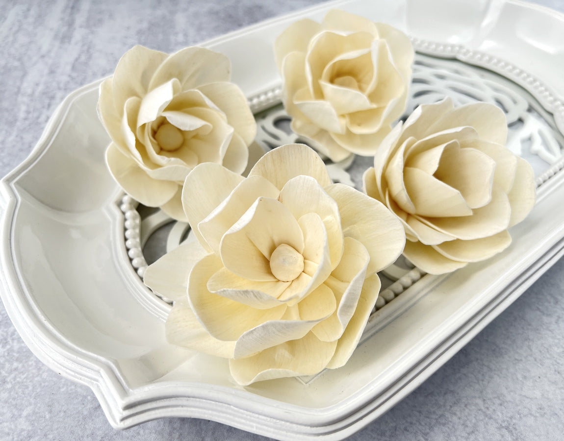 Sola Wood Flowers - Bellatrix - Luv Sola Flowers