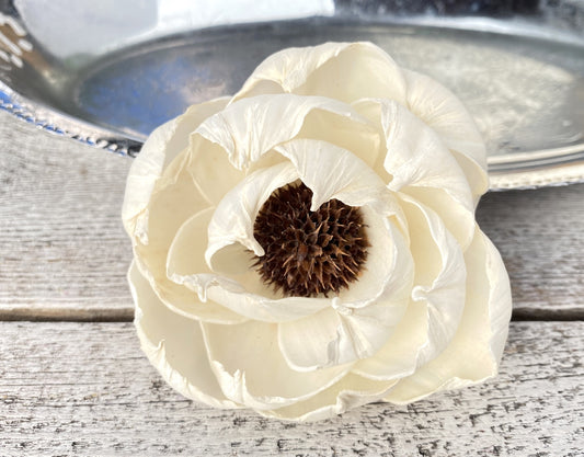 Sola Wood Flowers - Black Pearl - Luv Sola Flowers