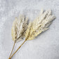 Bleached Reed Plumes - Luv Sola Flowers - Faux Filler
