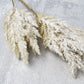 Bleached Reed Plumes - Luv Sola Flowers - Faux Filler