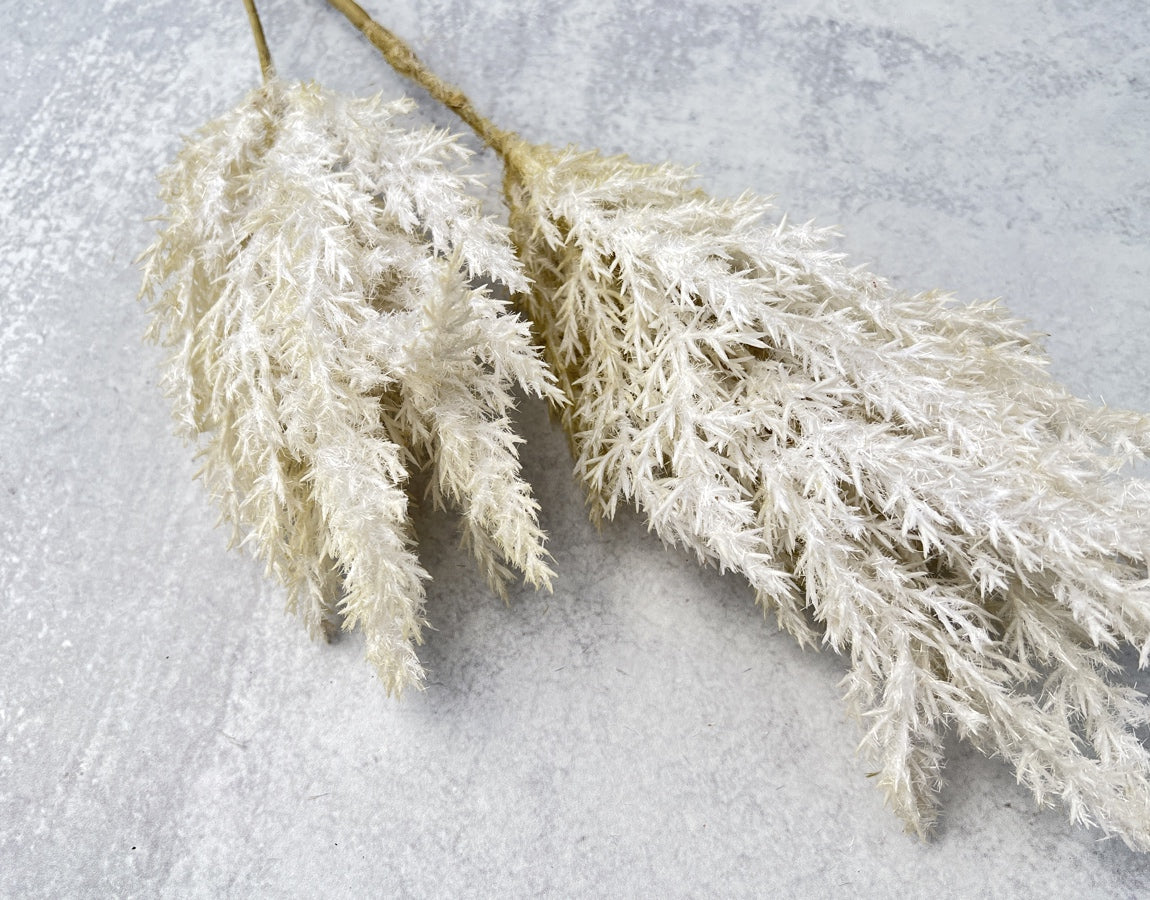Bleached Reed Plumes - Luv Sola Flowers - Faux Filler