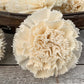 Sola Wood Flowers - Carnation