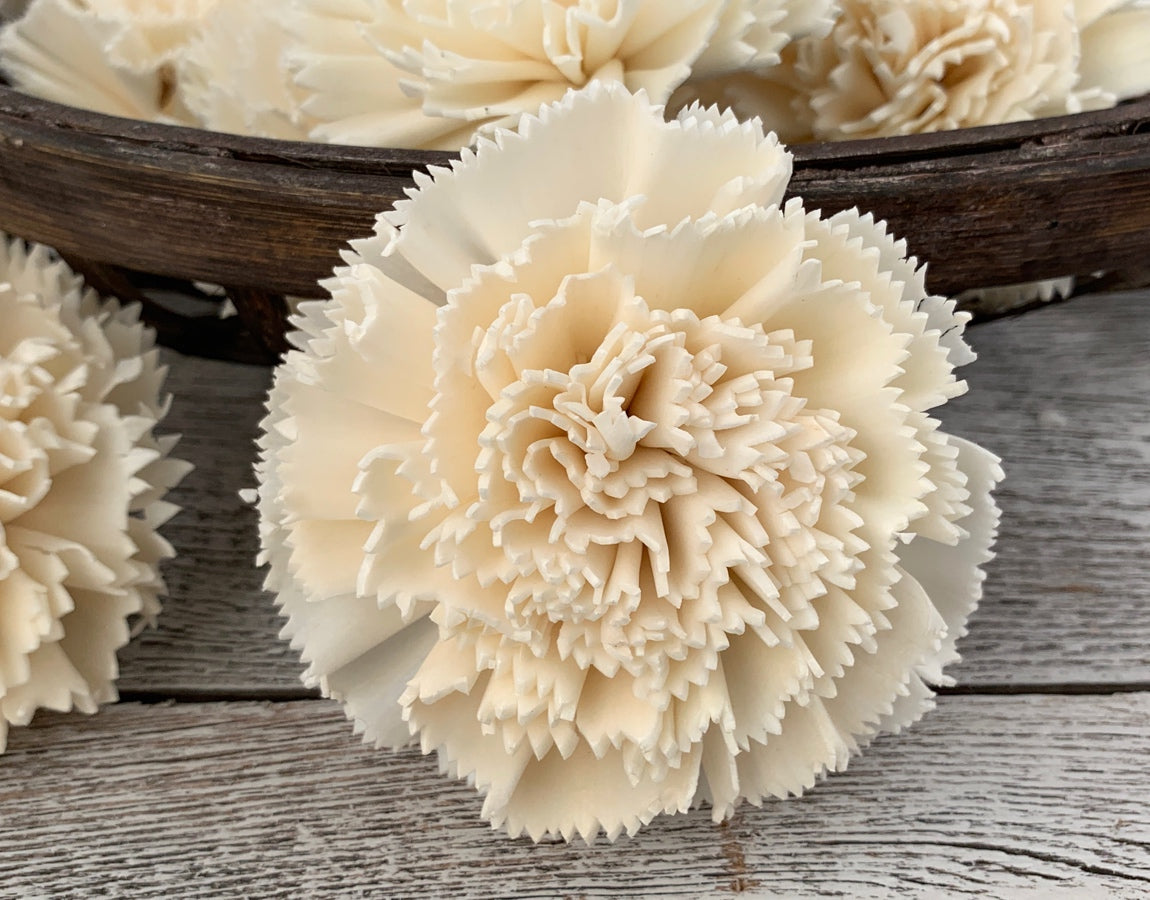 Sola Wood Flowers - Carnation - Luv Sola Flowers
