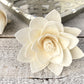Sola Wood Flowers - Casablanca - Luv Sola Flowers
