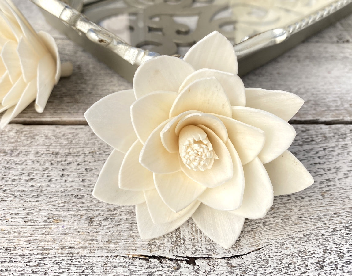 Sola Wood Flowers - Casablanca - Luv Sola Flowers