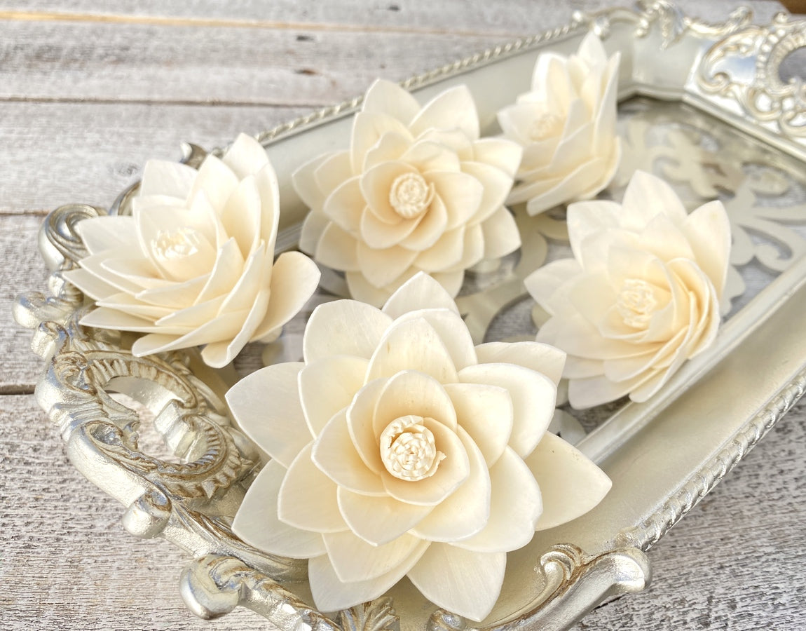 Sola Wood Flowers - Casablanca - Luv Sola Flowers
